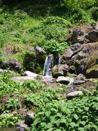 Manantial del río de los berros con agua cristalina.