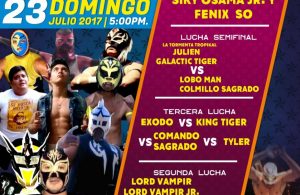 Cartel de Lucha Libre 2017